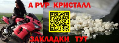 экстази Гай