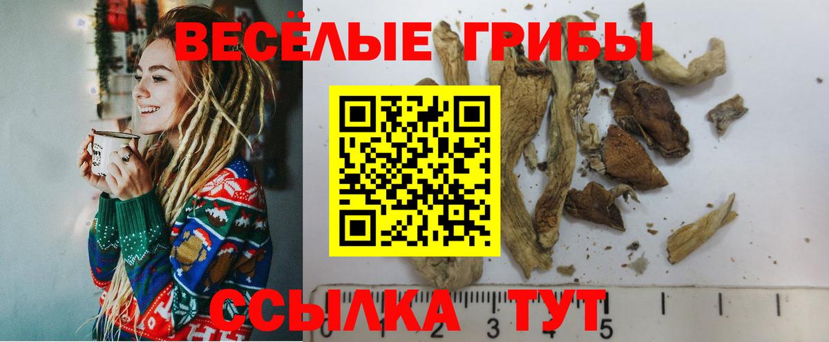 Псилоцибиновые грибы ЛСД  купить закладку  Тулун  Вход с VPN 